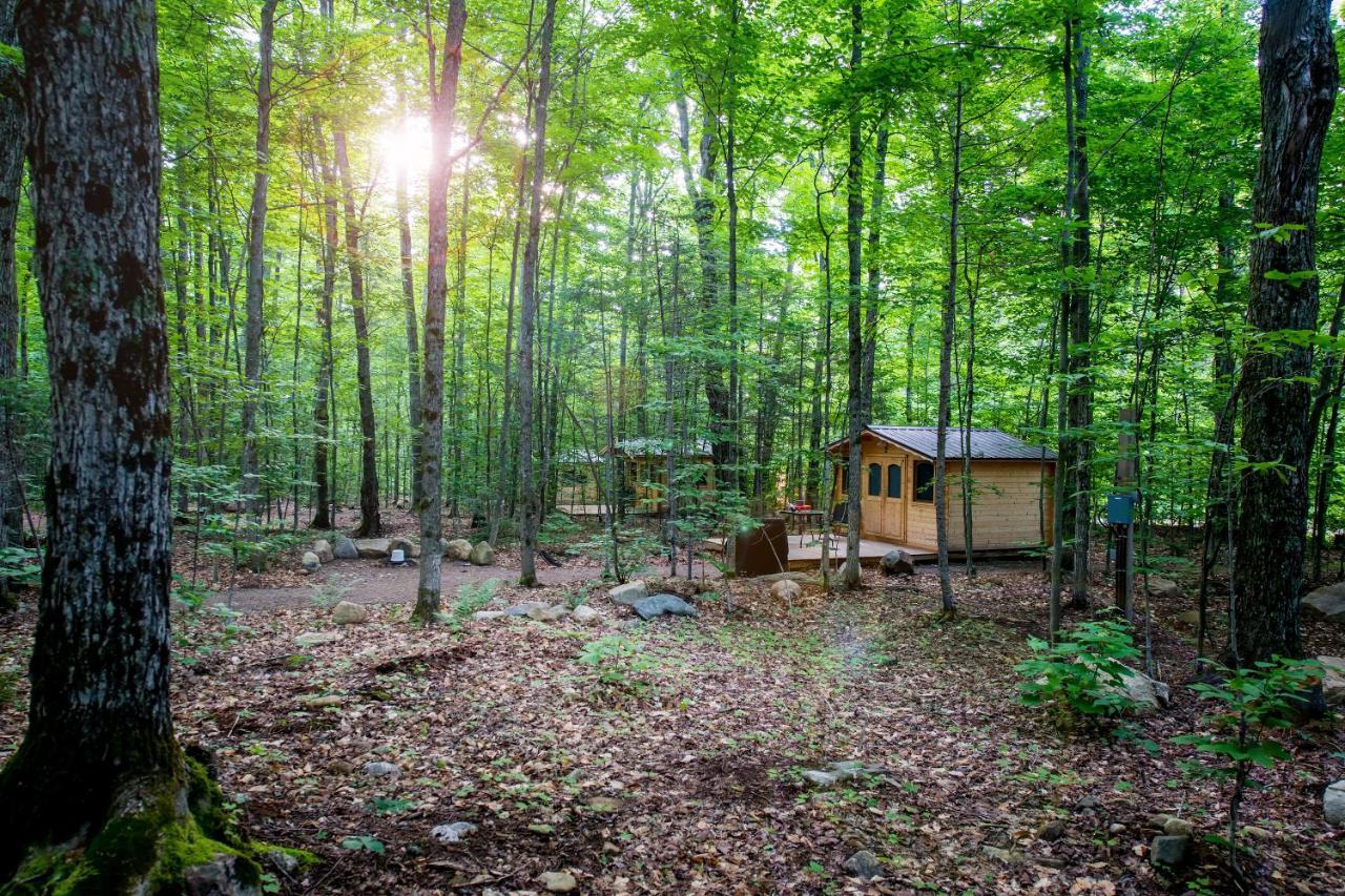 Madawaska Lodge-Cottage Luaran gambar