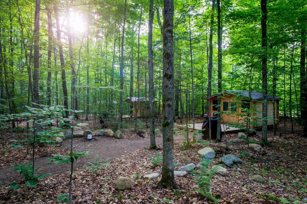 Madawaska Lodge-Cottage Luaran gambar
